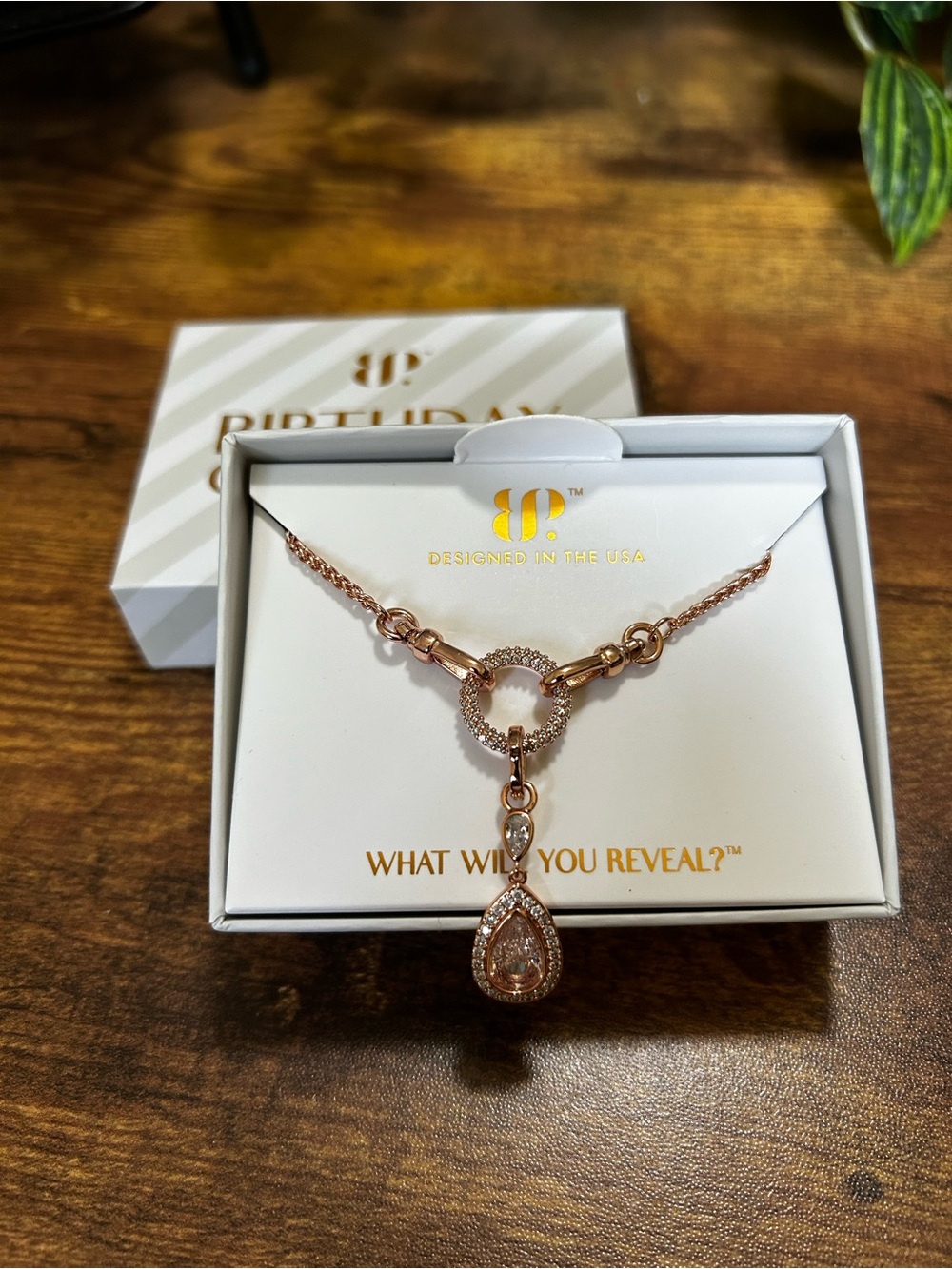 Bomb Party April 2026 “The Diana Necklace, Rose Gold